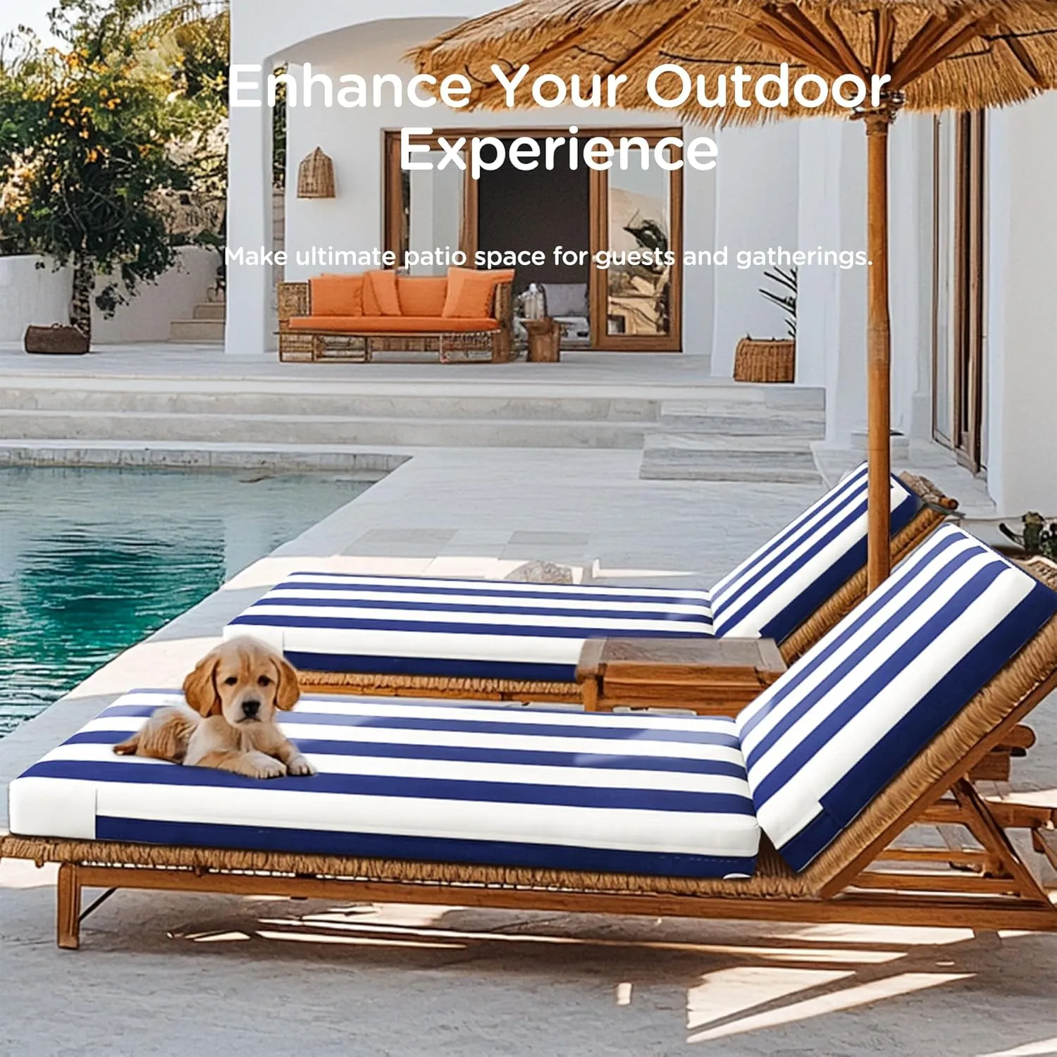 Codi Outdoor Lounge Chair Cushions, Chaise Cushion for Patio Furniture, Double Waterproof Fabric for Pool, Garden and Beach, 72 x 22.5 x 3.5 Inch 1PK Cabana Blue