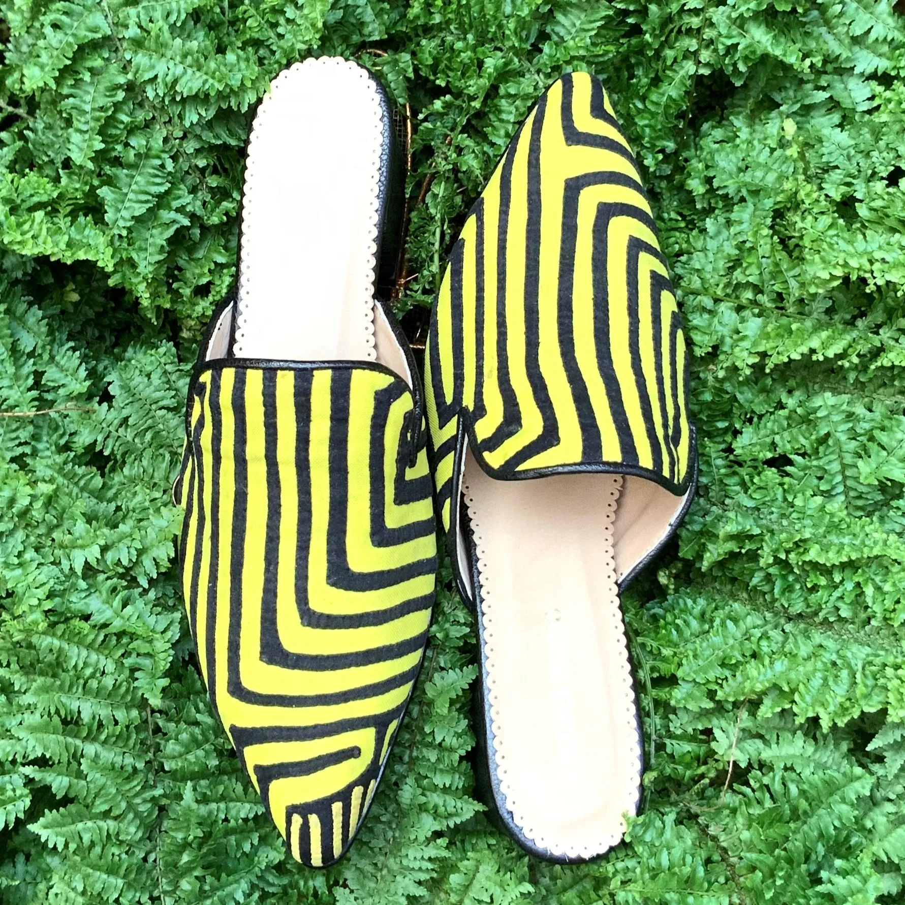 Mola Mule | Black Yellow