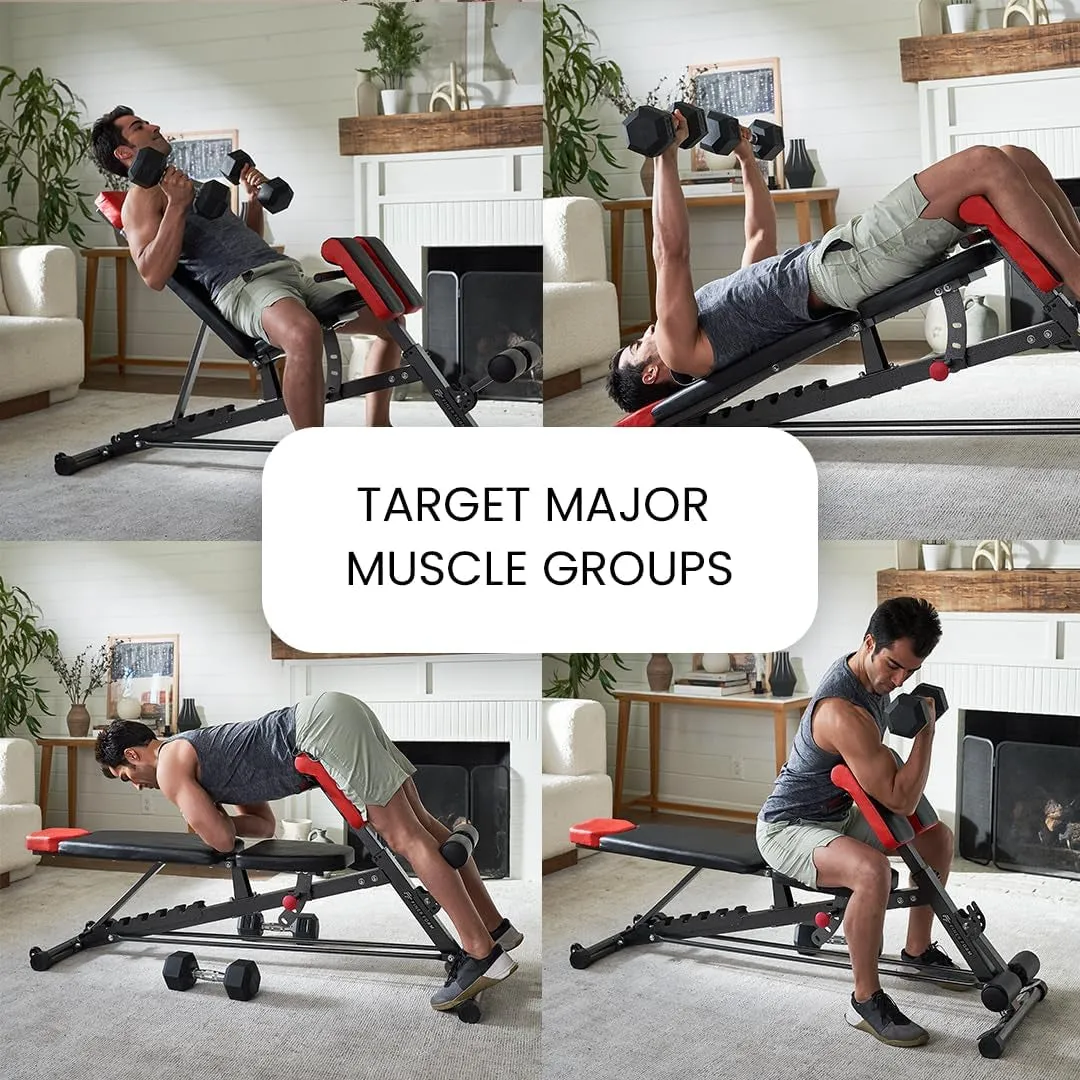 Sit Workout Incline Bench for Roman Extension, Chair, Body Bench, Decline up Bench, Back Bench Luxurious touch Weight Hot bargain – Full FID Ab All-In-One Flat Multi-Functional Adjustable Hyper
